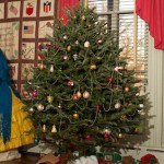 2011-12 Xmas Tree